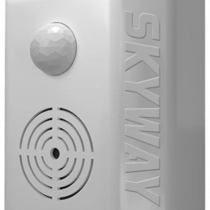 Skyway